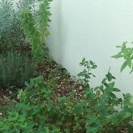 Kalliopi's House * Μανδράκι